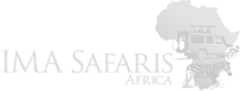 IMA Safaris Africa