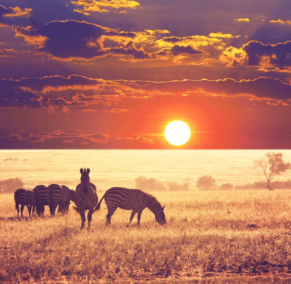 serengeti-national-park