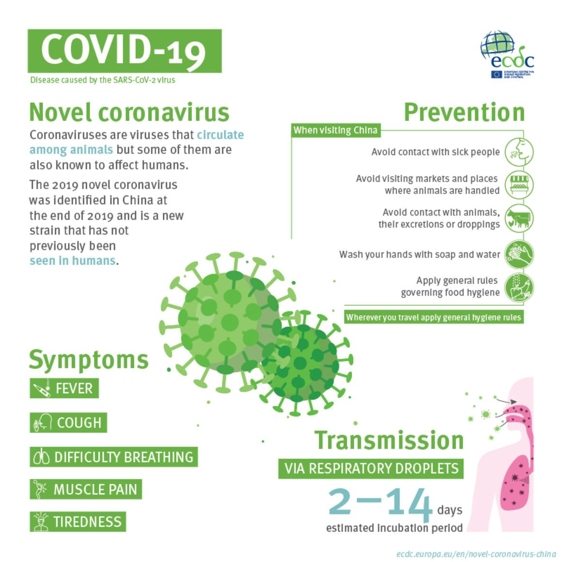 COVID 19 Infographic