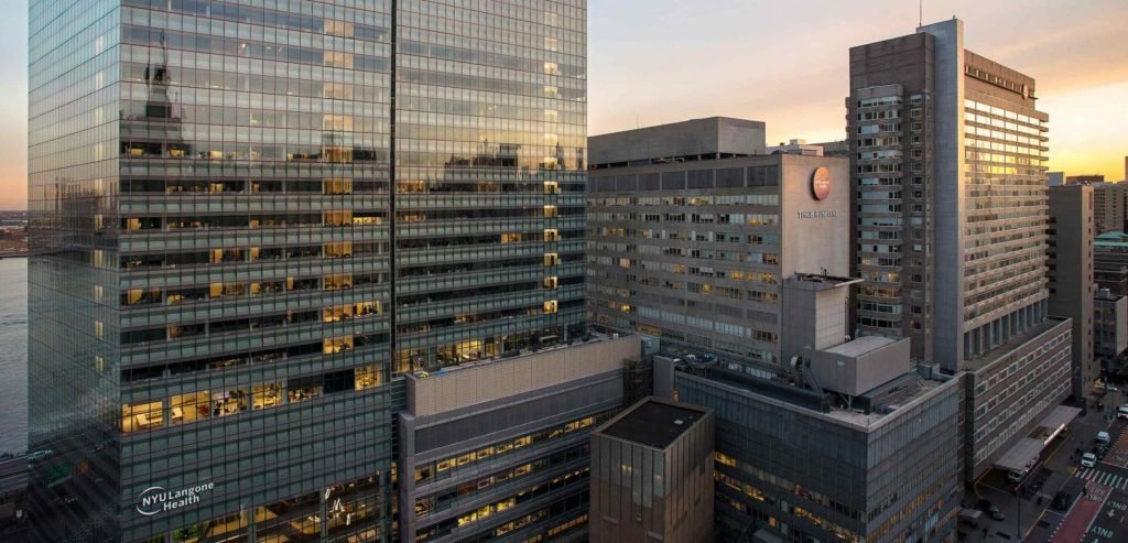 New York University Medical School