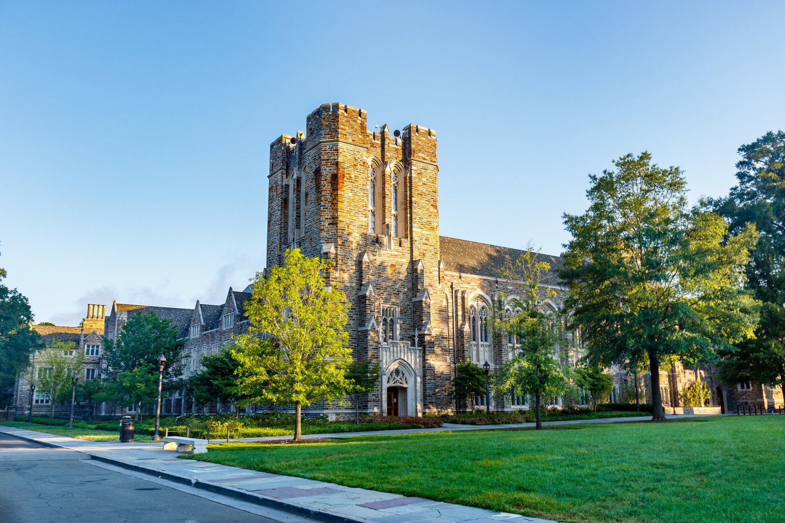 Pre-Med at Duke University