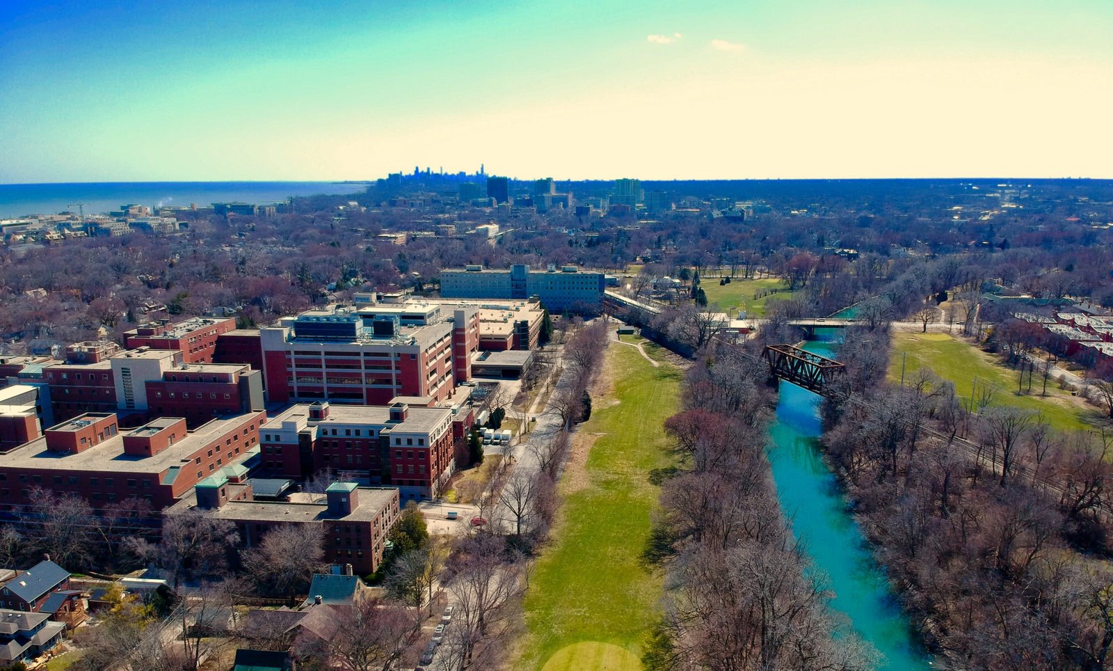 Pre-Med at Northwestern University