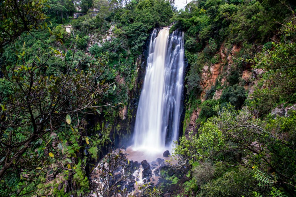 Aberdare National Park in Kenya