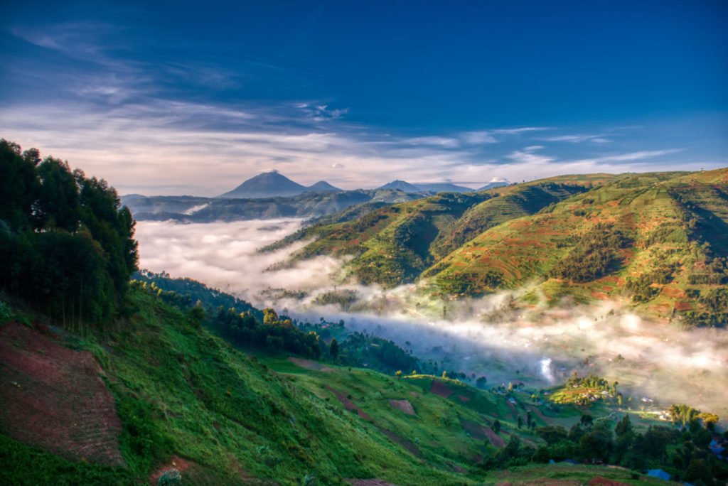 Bwindi Impenetrable National Park in Uganda