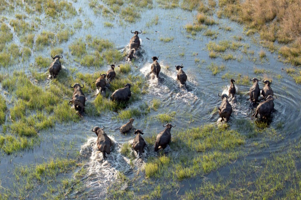 Etosha National Park in Namibia