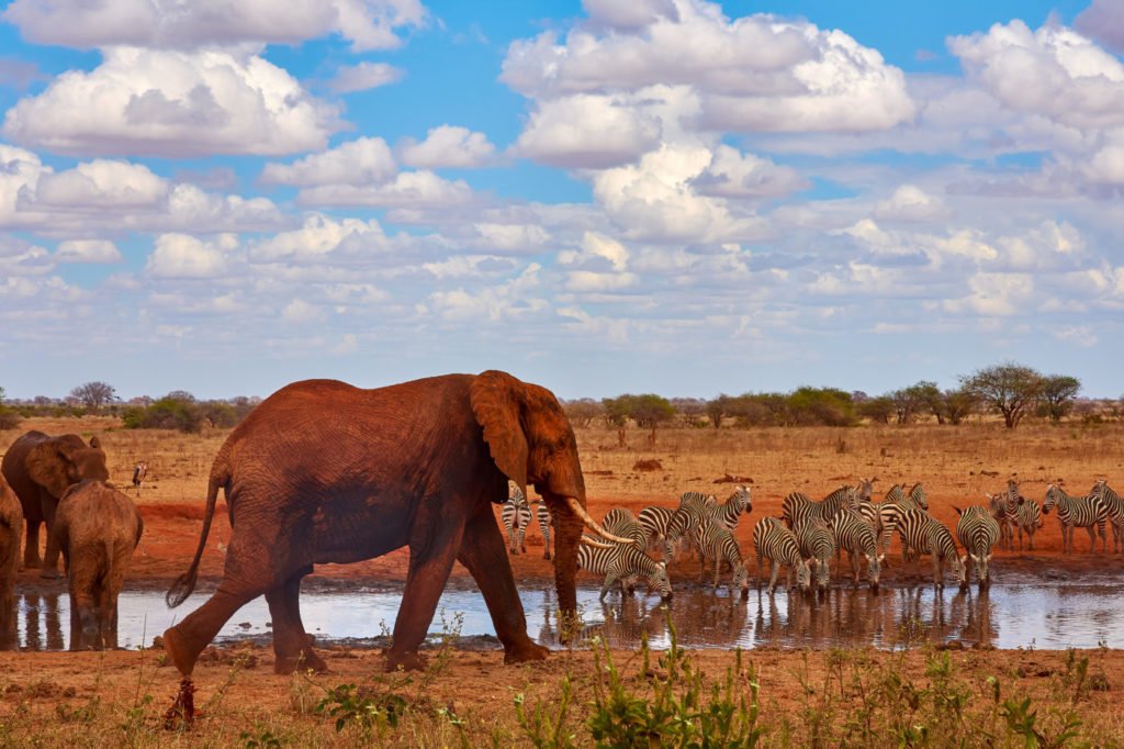 Mana Pools National Park