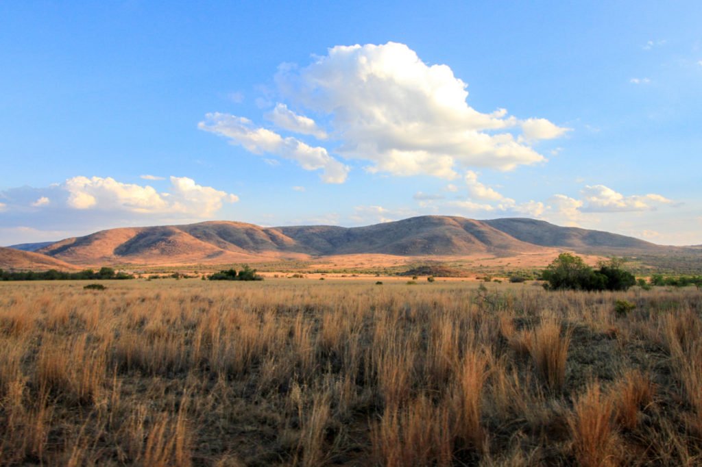 Pilanesberg National Park