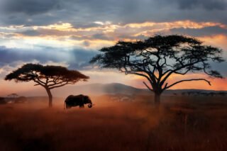 Things To Know Before You Volunteer In Tanzania