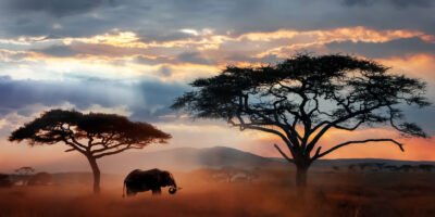 Things To Know Before You Volunteer In Tanzania