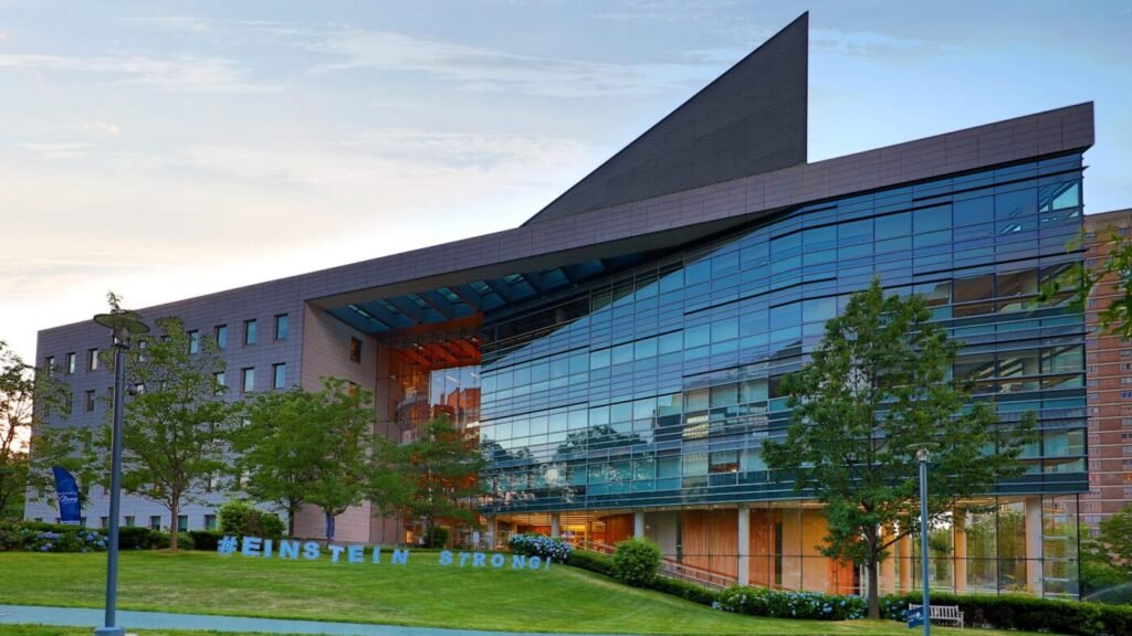 New York Medical Colleges - Albert Einstein College of Medicine