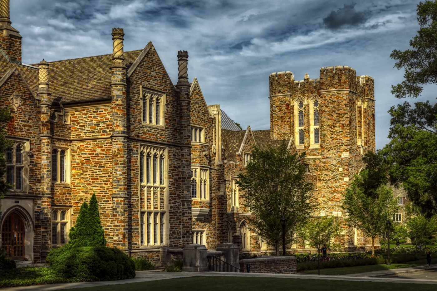 Pre-Med at Duke University
