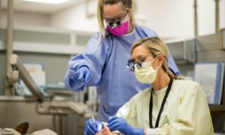 Easiest Dental Schools to Get Into in 2026