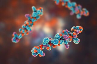 GHRP 6 Peptide: Research Potential
