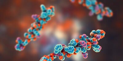 GHRP 6 Peptide: Research Potential