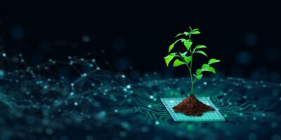 Charting a Greener Future: Can PDFs Pave the Way to Sustainability?