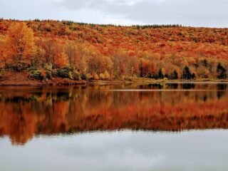 Six Things to Learn from West Virginia’s Fight Against Substance Abuse