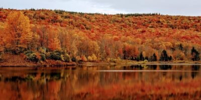 Six Things to Learn from West Virginia’s Fight Against Substance Abuse