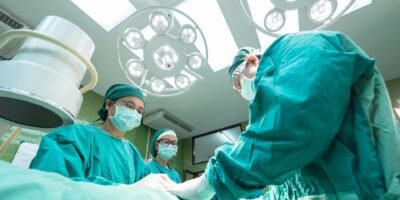 3D Anatomy Models in Medical Training