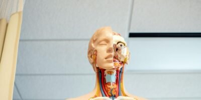 Thinking About Healthcare? How to Choose the Right Area of Study for You