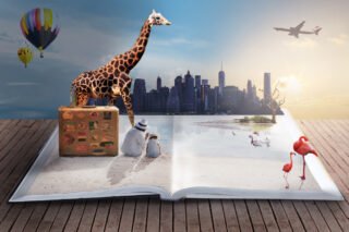 How Pre-med International Internship Housing and Support Systems Define Your Learning Experience Abroad