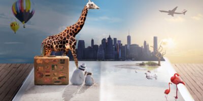 How Pre-med International Internship Housing and Support Systems Define Your Learning Experience Abroad